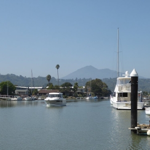 Photo of Tamalpais Property Management