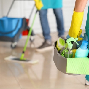 Spring Lily-White Cleaning Services