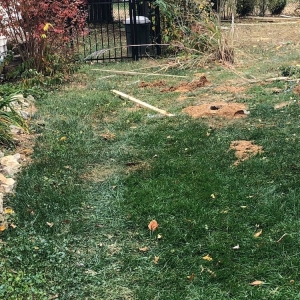 Photo of Lancaster Fencing