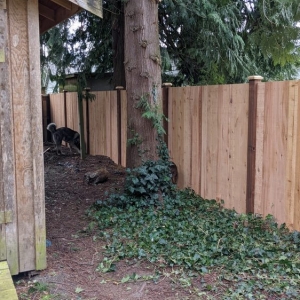 Photo of All In Construction and Landscaping