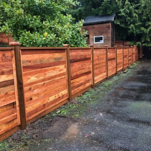 Photo of All In Construction and Landscaping