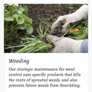Photo of Fisher Garden & Landscape Services