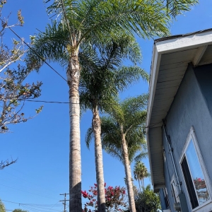 Photo of Arrow Real Estate