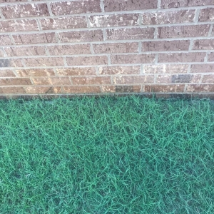 Photo of Hicks Pest Control