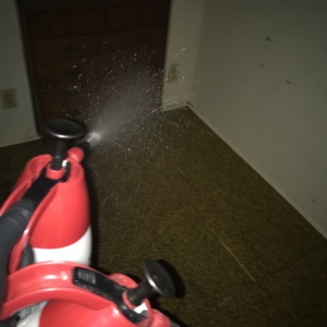 Photo of Hicks Pest Control