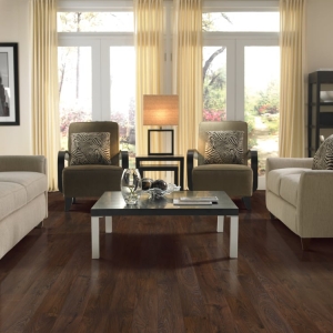 Photo of Action Carpet & Floor Decor