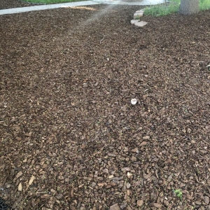 Photo of Bedrock Landscaping Materials