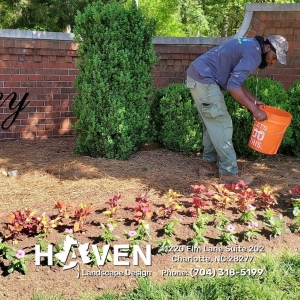 Photo of Haven Landscape Design
