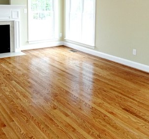 Photo of Heaven's Best Carpet Cleaning - Muncie