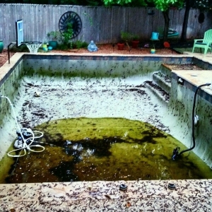 Photo of Laser Pools