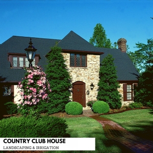 Photo of Lawn Excellence