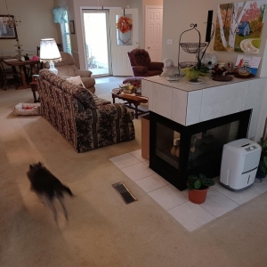 Photo of Pro Home Solutions