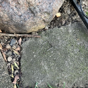 Photo of Dick's Roof Repair Service