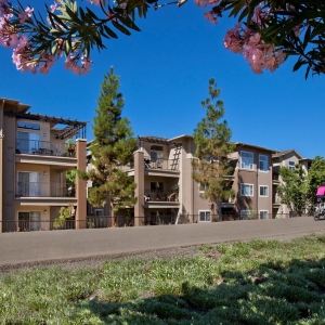 Photo of Park Sierra at Iron Horse Trail Apartments
