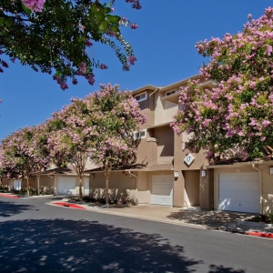 Photo of Park Sierra at Iron Horse Trail Apartments
