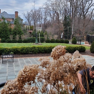 Photo of Green Estates Landscape & Garden
