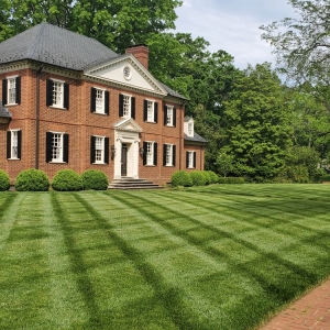 Photo of Green Estates Landscape & Garden