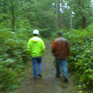 Photo of American Forest Lands Washington Logging Company