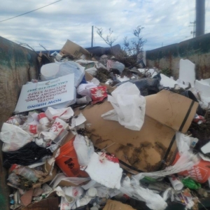 Photo of P and P Junk Removal and Demolition Services