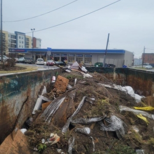Photo of P and P Junk Removal and Demolition Services