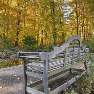 Photo of University of Minnesota Landscape Arboretum