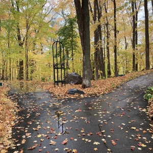 Photo of University of Minnesota Landscape Arboretum