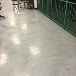 Photo of D and T Cleaning Service