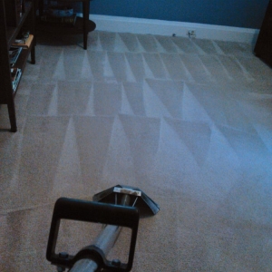 Photo of Cawood Carpet Cleaning