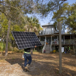 Photo of Palmetto