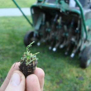 Photo of Sand River Landscaping