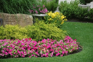 Photo of Circle Landscape Services