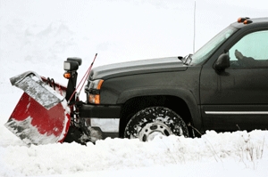 Photo of Circle Landscape Services