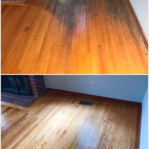 Photo of MA Hardwood Floors