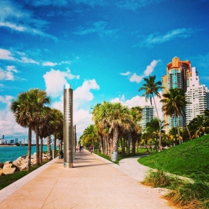 Photo of Miami's Best Realtor