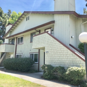 Photo of Jennifer Nguyen - KW Bay Area Estates