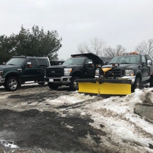 Photo of Creative Minds Landscaping
