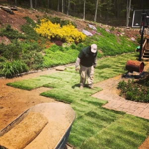 Photo of Creative Minds Landscaping