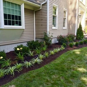 Photo of Creative Minds Landscaping