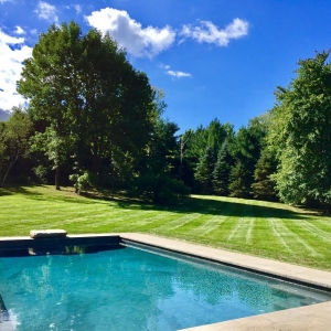 Photo of Creative Minds Landscaping