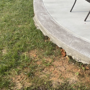 Photo of DB Concrete Services