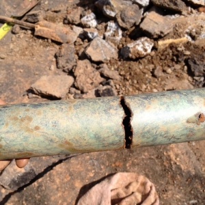 Photo of Batylin Plumbing