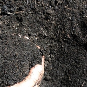 Photo of Sunset Materials