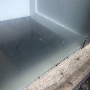 Photo of South Bay Showers
