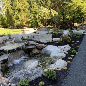 Photo of Coal Creek Landscaping