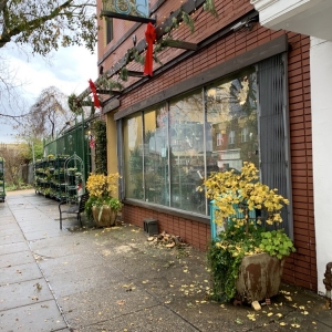Photo of Ginkgo Gardens