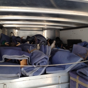 Photo of Mustard Seed Moving Company