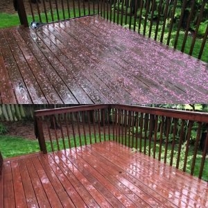 Photo of Royal Exterior Cleaning