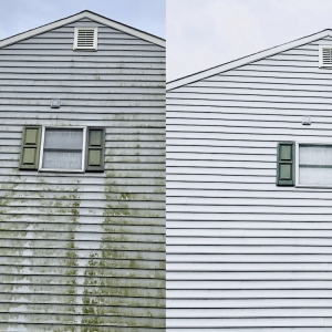 Photo of Royal Exterior Cleaning