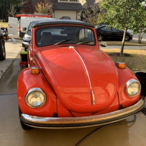 Photo of Top of the Line Detailing
