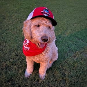 Photo of Mighty Dog Roofing of North Atlanta
